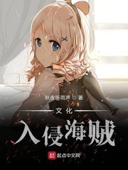 文化入侵海賊