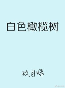 白色橄欖樹